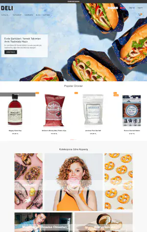 BTema 9 hazır e-ticaret sitesi tasarımı